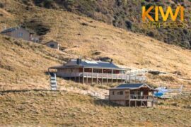 Stag Do Auckland Luxury Accomodation Nightlife Experiences