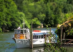 Boat Cruise Prices - Hamilton Deluxe Stag Boat Cruise