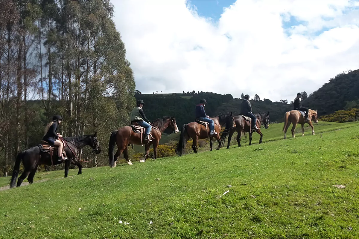 Rotorua Horse Trek Combo