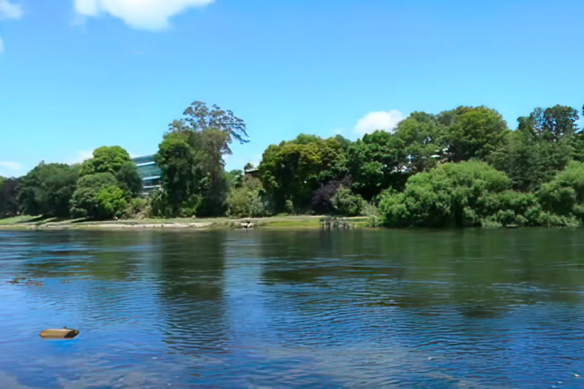 Stag Do Waikato River