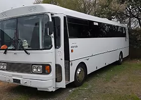 Hen Party Combo Prices - Tauranga Hen Party Bus