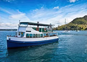 Stag Boat Cruise Tauranga