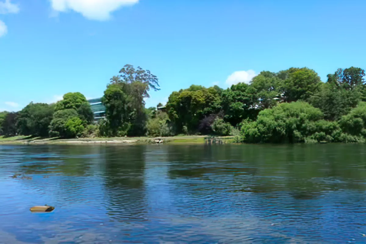 Waikato River Boat Cruise